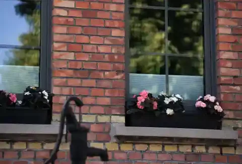 Außenfenster mit schwarzem Rahmen in einer roten Steinmauer, Blumentopf auf dem Fensterbrett.
